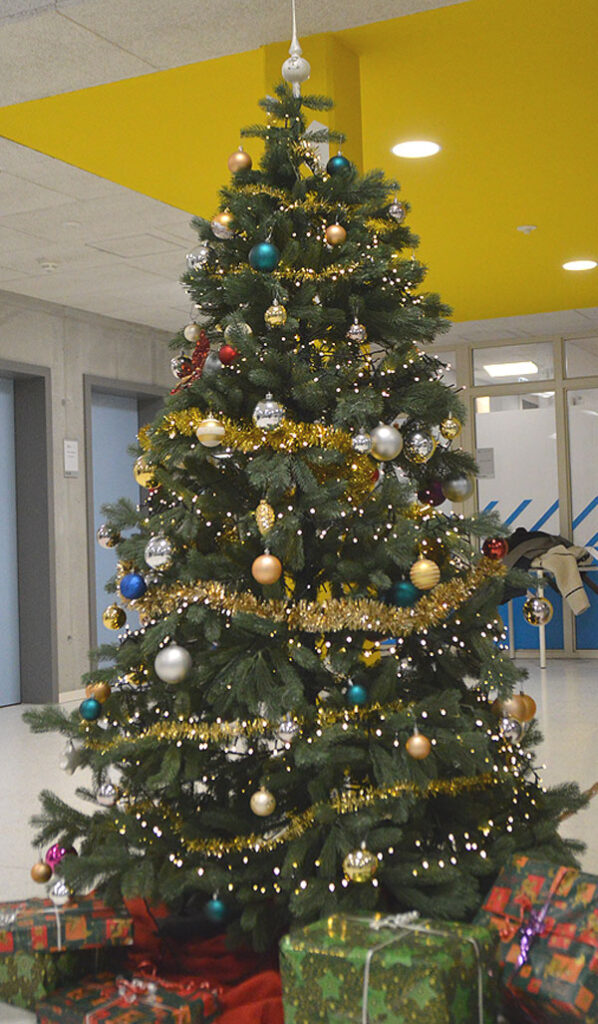 Der Baum in seiner ganzen Pracht.