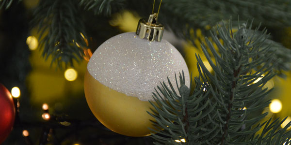 Der aufgeputzte Weihnachtsbaum in der Schule strahlt.