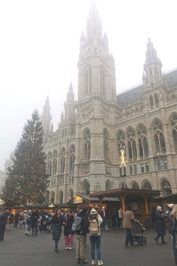 Das Wiener Rathaus. Mächtiges Zentrum der Bürger Wiens und Ort der Begegnung.