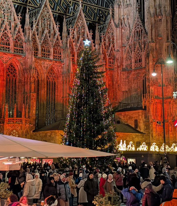 Das Zentrum der Stadt: der Stephansplatz. Treffpunkt, Ort des Glaubens und der guten Geschäfte im Umfeld.
