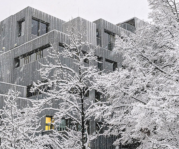 Die Schule im Winter II