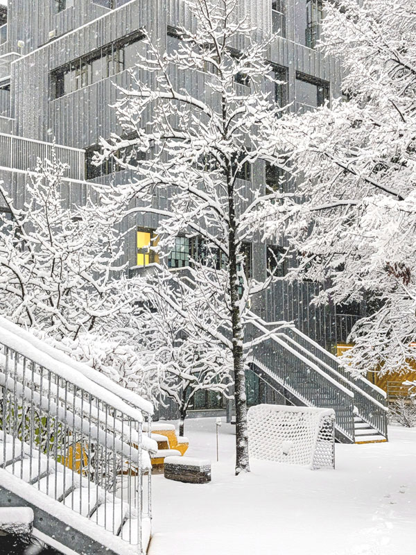 Die Schule im Winter VI