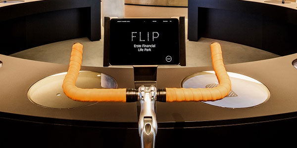 FLIP – Reality Check (© Lupi Spuma)